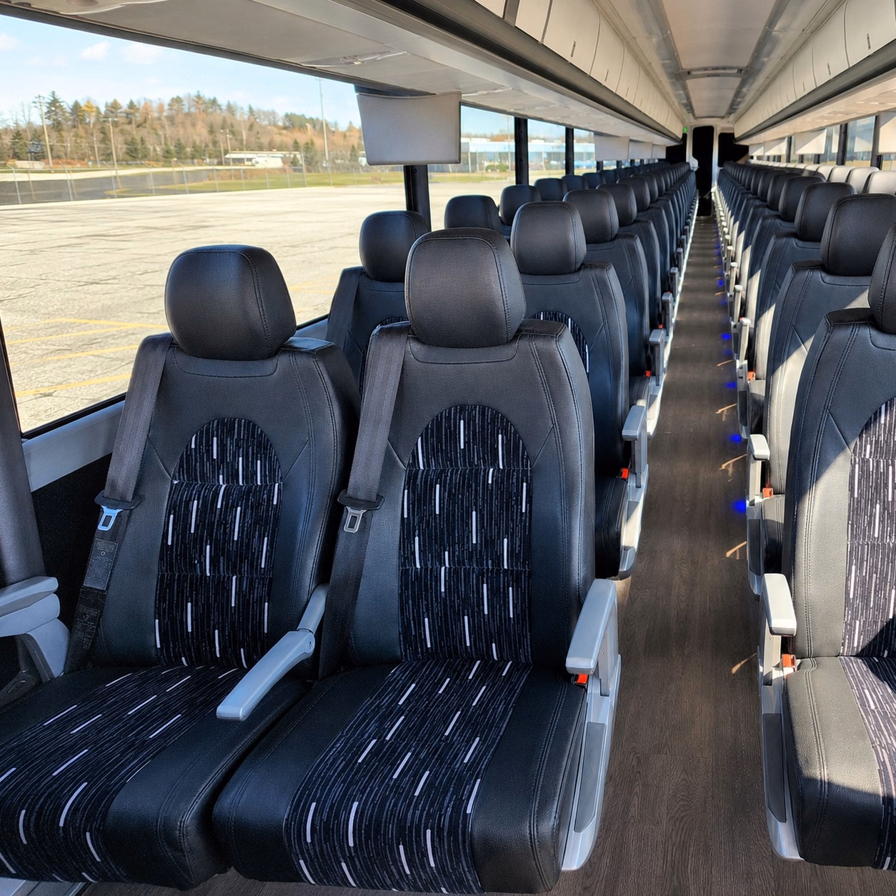 compare buses in minutes not days